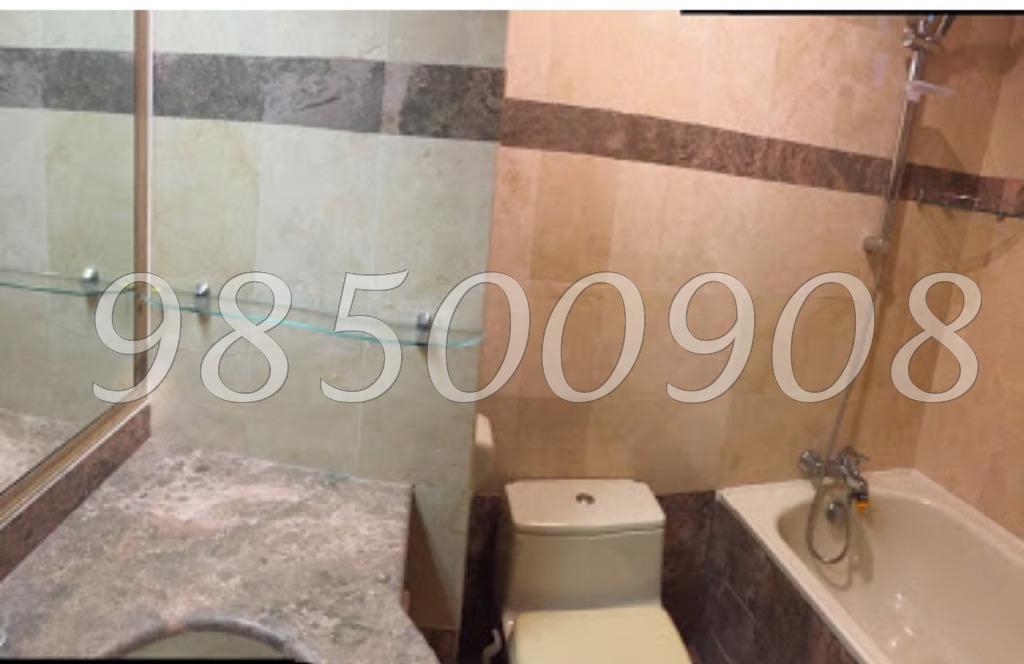 Jervois Lodge (D10), Condominium #85697182